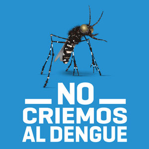 300x300-DENGUE